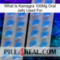 What Is Kamagra 100Mg Oral Jelly Used For 23